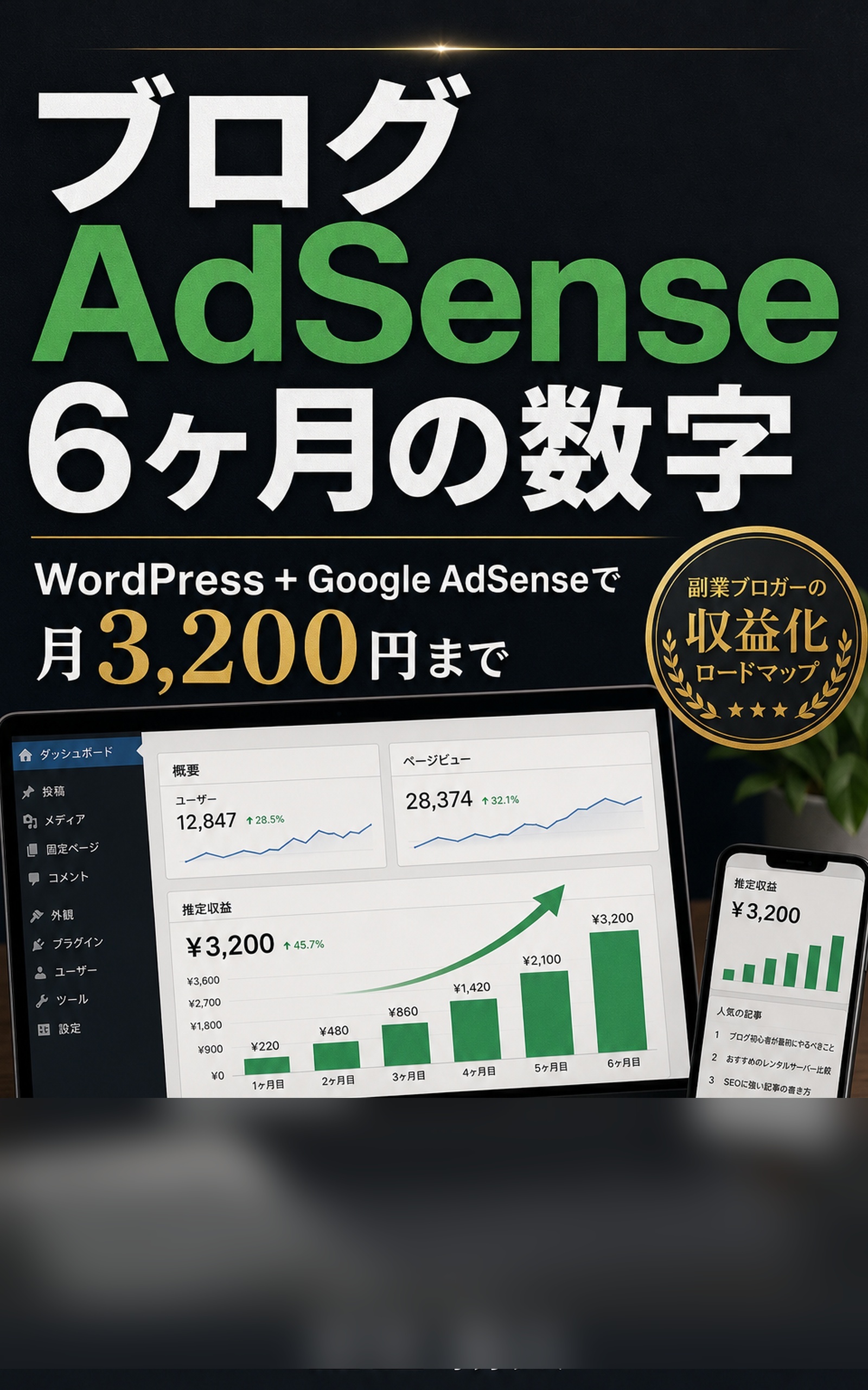 ブログ AdSense 6 ヶ月の数字の表紙